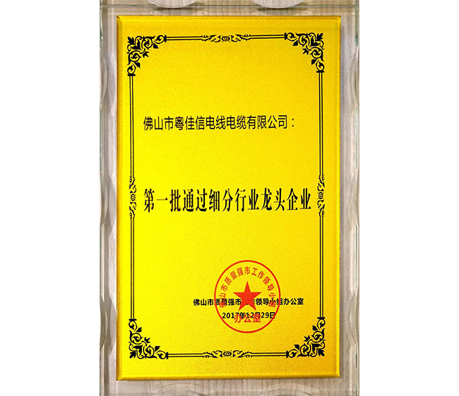 第一批通過(guò)細(xì)分行業(yè)龍頭企業(yè)